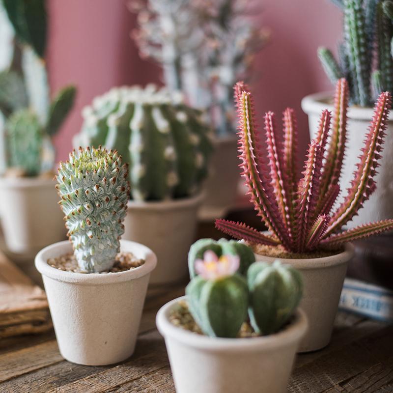 Artificial Potted Cactus Bonsai