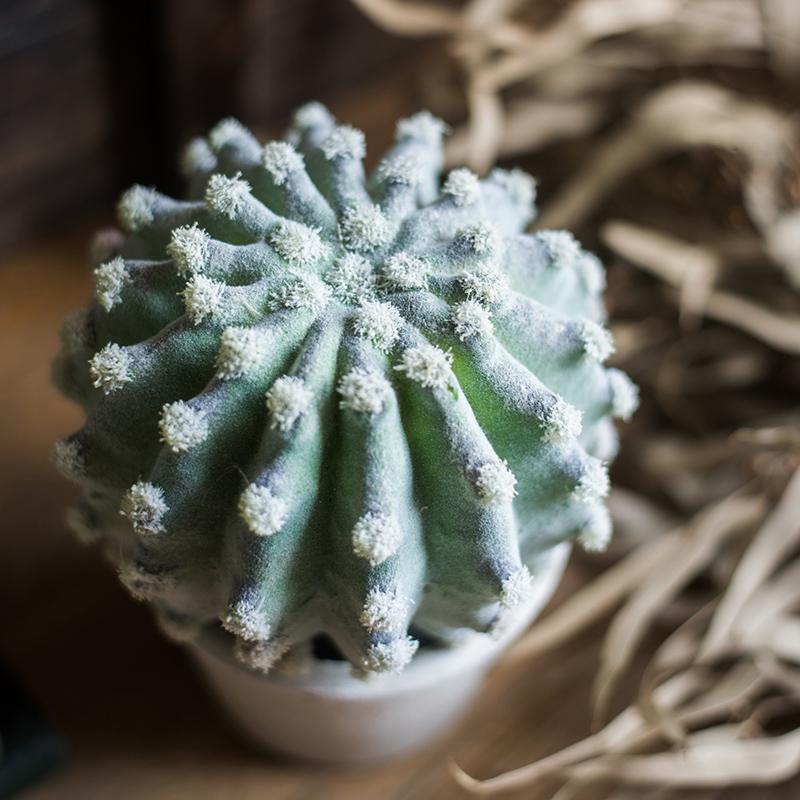 Artificial Potted Cactus Bonsai