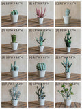 Artificial Potted Cactus Bonsai