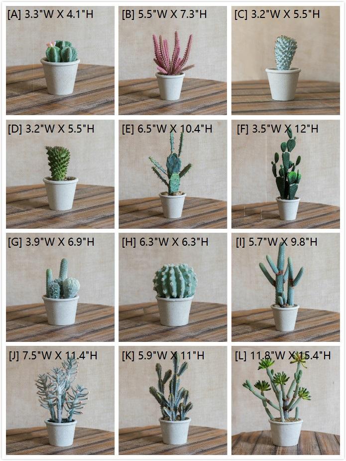 Artificial Potted Cactus Bonsai