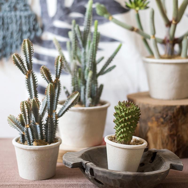 Artificial Potted Cactus Bonsai