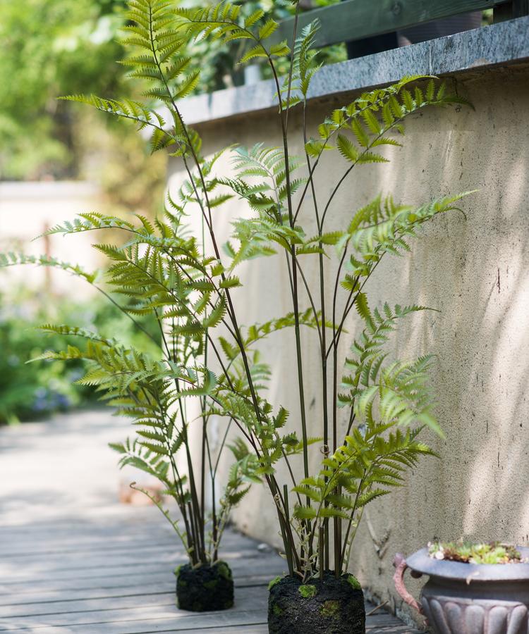 Artificial Eagle Fern Bulk Plant