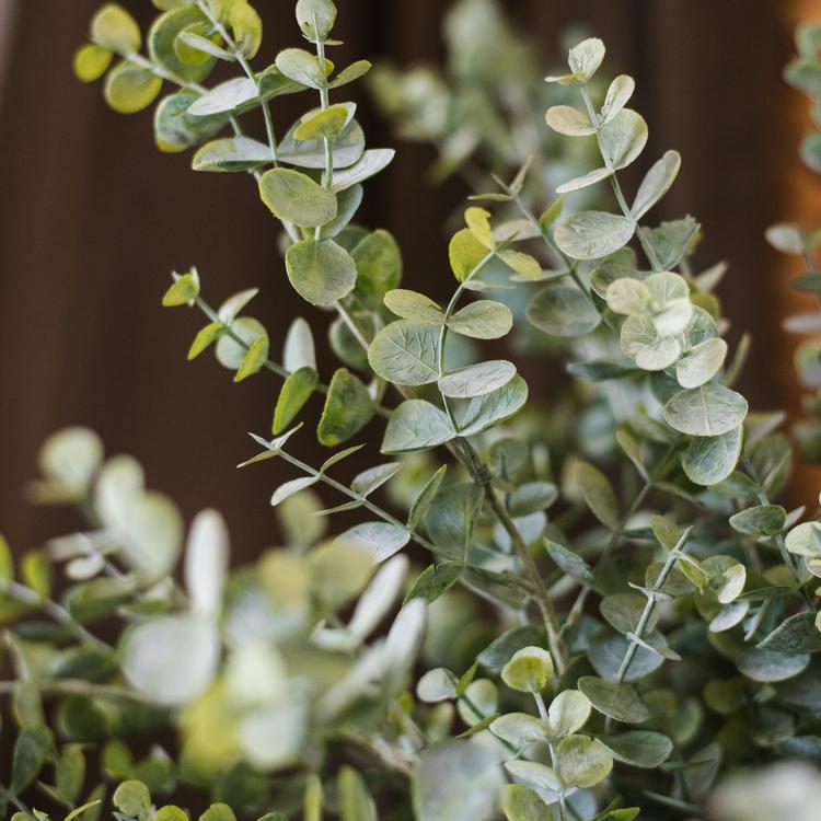 Artificial Eucalyptus Stem Green 26" Tall