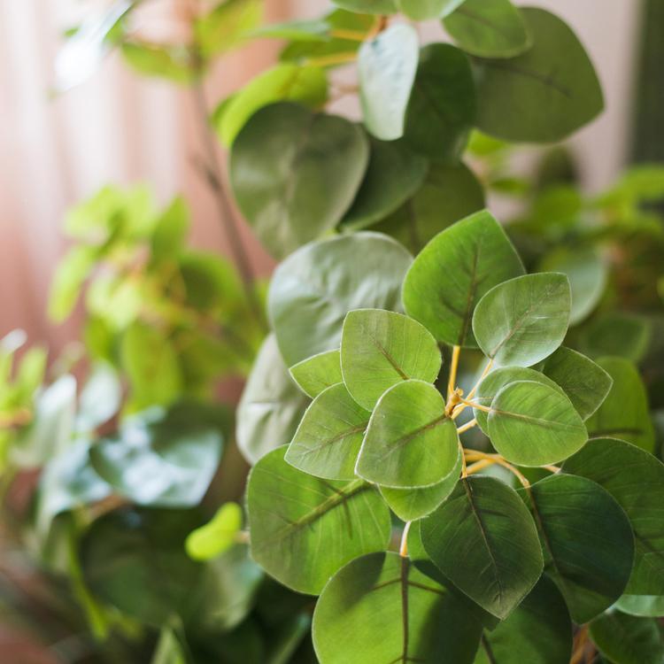 Artificial Bauhinia Leaf 34" Tall