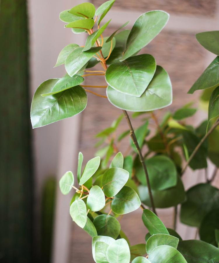 Artificial Bauhinia Leaf 34" Tall