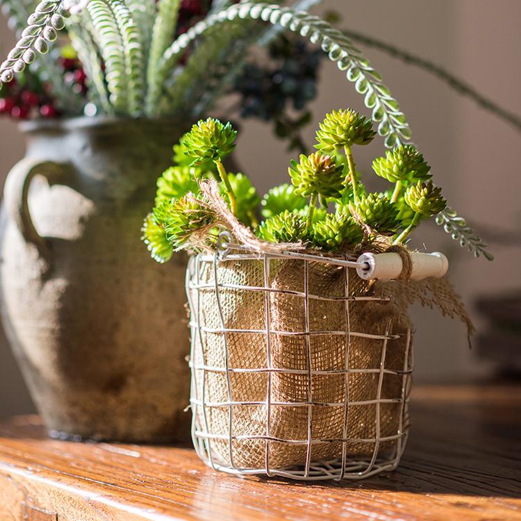 Artificial Succulent Stem Set in Green 13" Tall