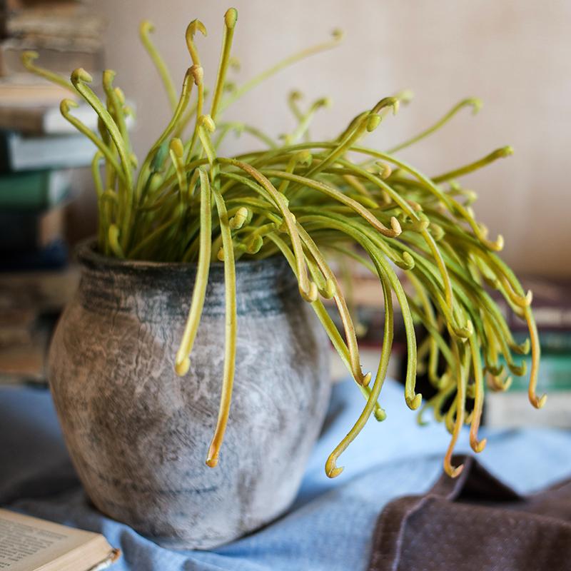 Artificial Green Sarracenia Stem 12" Tall