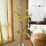 YellowGreen