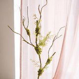 One Stem
