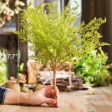 One Stem