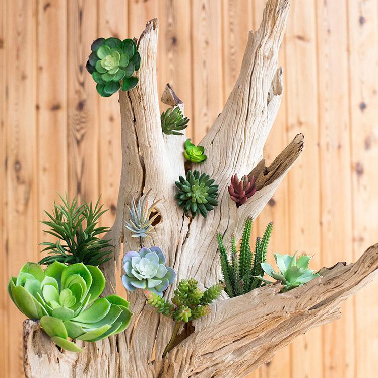 Artificial Small Succulent Stem Randomly Picked Set of 5