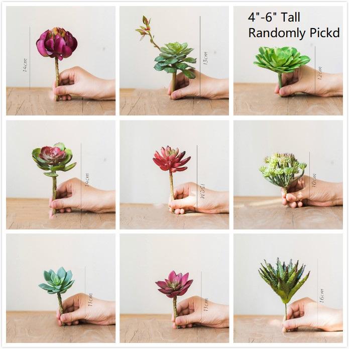 Artificial Small Succulent Stem Randomly Picked Set of 5