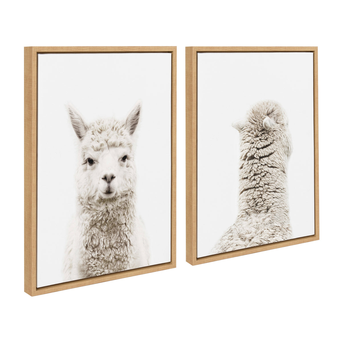 Sylvie Alpaca Front and Alpaca Back Framed Canvas Art Set of 2 by Amy Peterson Art Studio