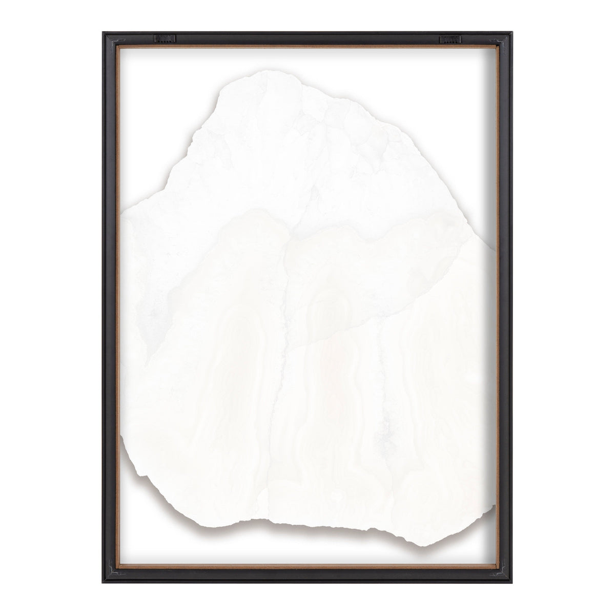 Blake Three Wonders Framed Printed Glass by Emiko and Mark Franzen of F2Images