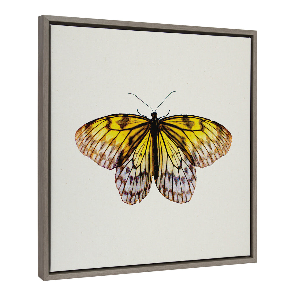 Sylvie Limon Framed Canvas by Robert Cadloff of Bomobob