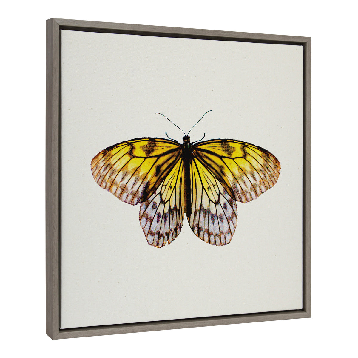 Sylvie Limon Framed Canvas by Robert Cadloff of Bomobob