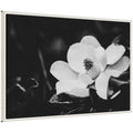 Sylvie Magnolias Framed Canvas by Alicia Abla