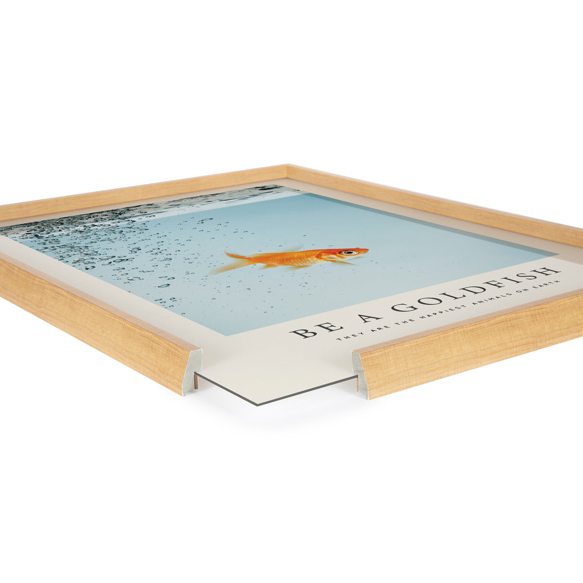Blake Be A Goldfish Framed Printed Glass by The Creative Bunch Studio
