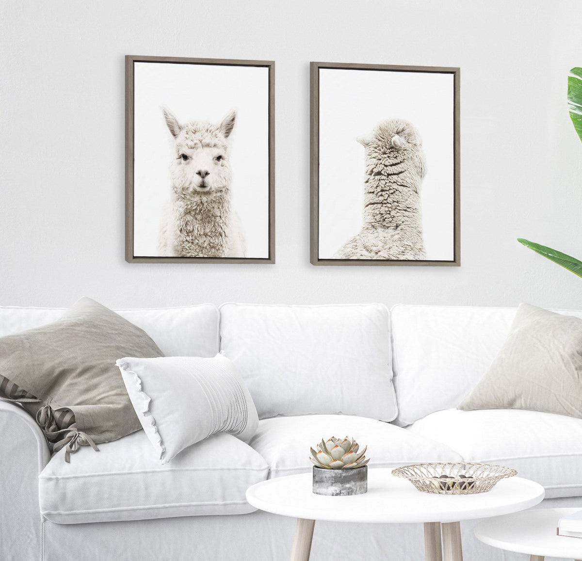 Sylvie Alpaca Front and Alpaca Back Framed Canvas Art Set of 2 by Amy Peterson Art Studio