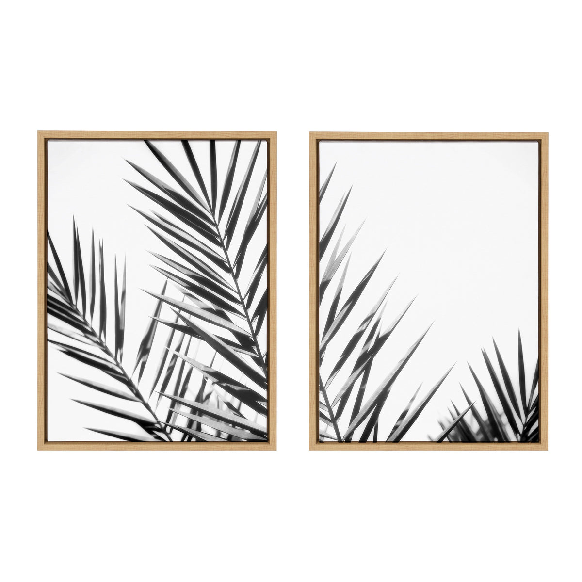 Sylvie Palm I and II BW Framed Canvas Set of 2 by Amy Lighthall