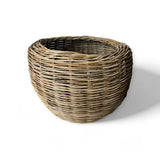 Large - 19½" H