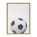Sylvie Color Soccer Ball Portrait Framed Canvas, Natural 18x24