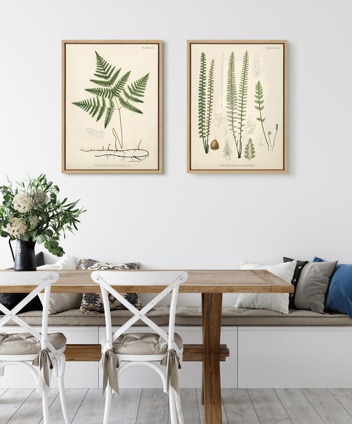 Sylvie Ferns Framed Canvas Set of 2 by Corinna Buchholz of Piddix
