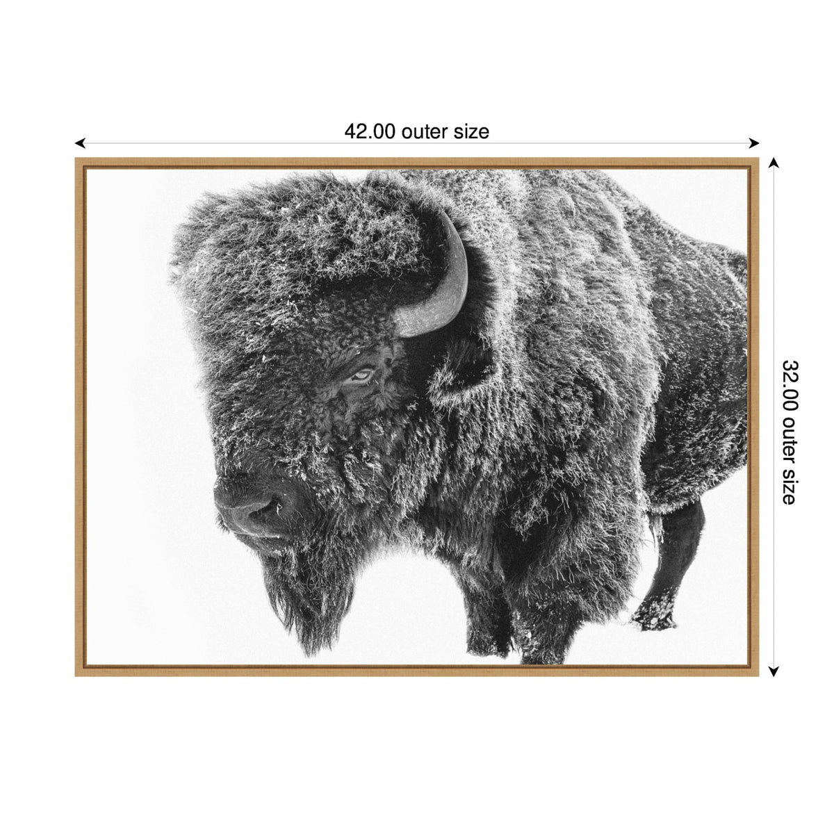 Bison in Snow Black and White by Amy Peterson Framed Canvas Wall Art Print