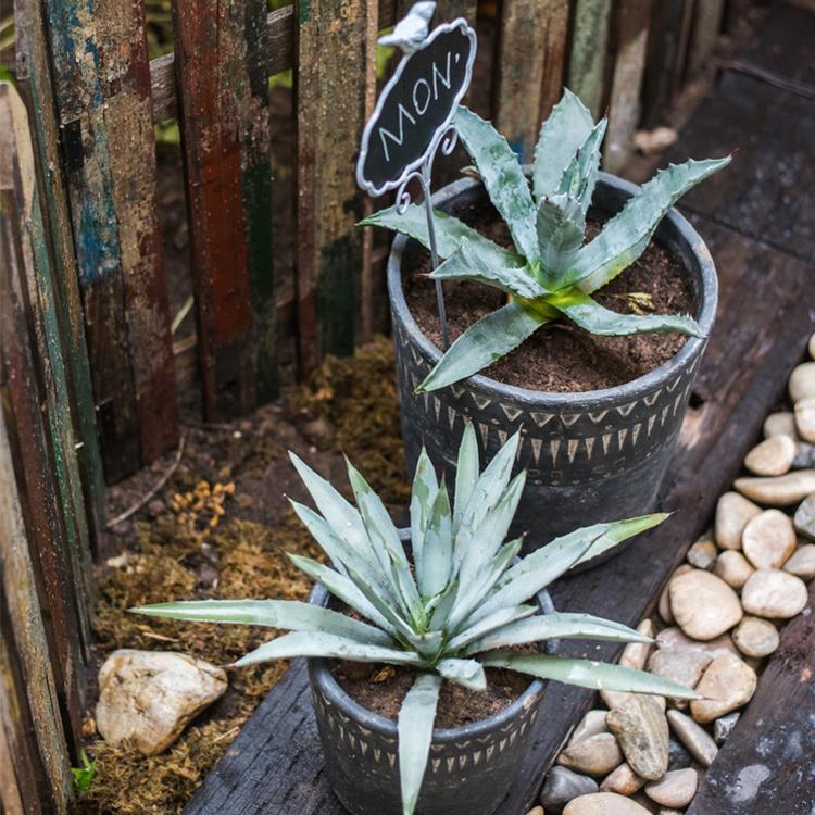 Black Cement Planter