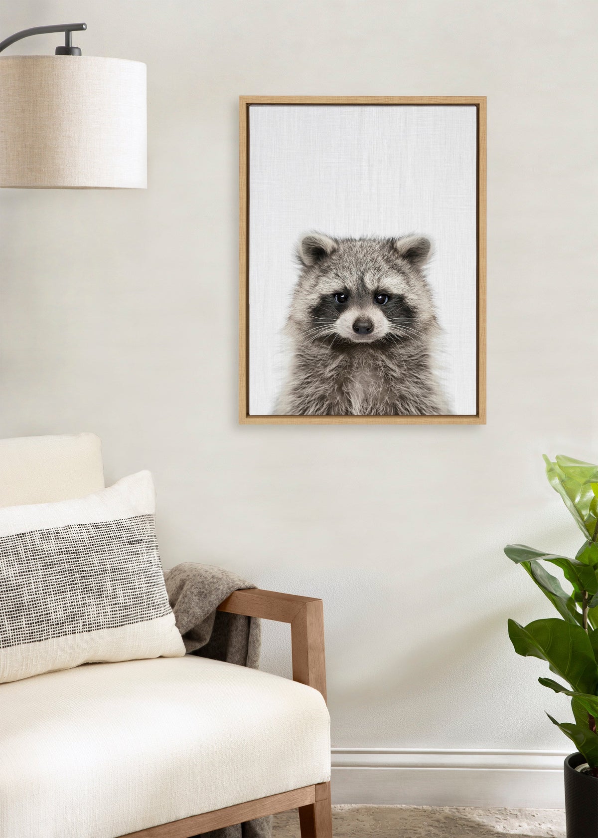 Sylvie Raccoon Color Framed Canvas by Simon Te of Tai Prints