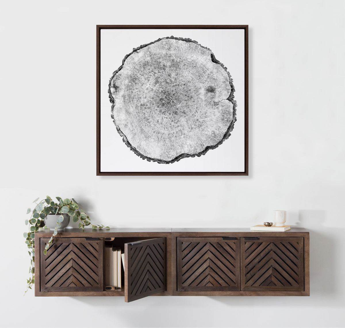 Sylvie Tree Rings Framed Canvas by Emiko and Mark Franzen of F2Images