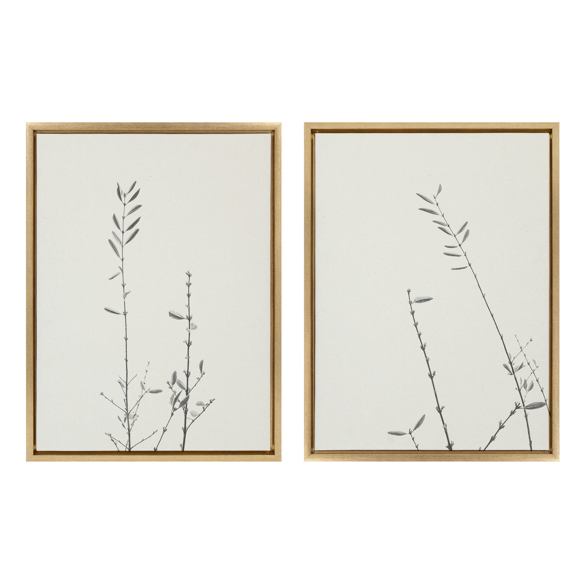 Sylvie Retro Tennessee Botanicals Framed Canvas Set of 2 by Stephanie Klatt