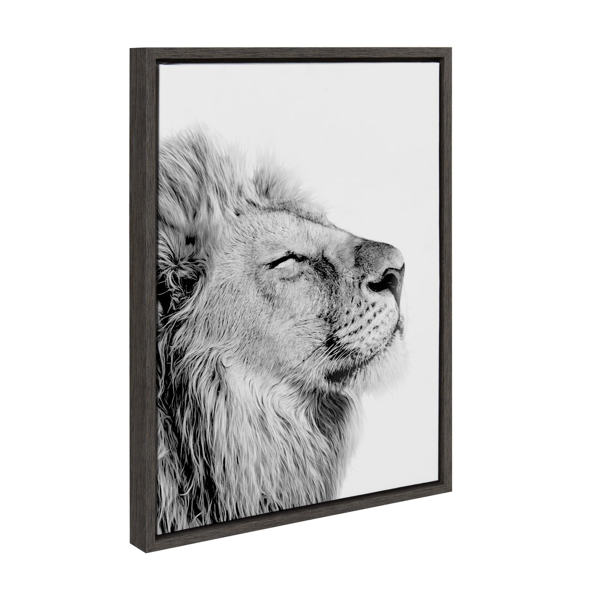 Sylvie Lion Self Actualizing Framed Canvas by Amy Peterson Art Studio