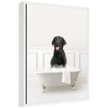 Sylvie Black Lab in White Bathtub Framed Canvas by Amy Peterson