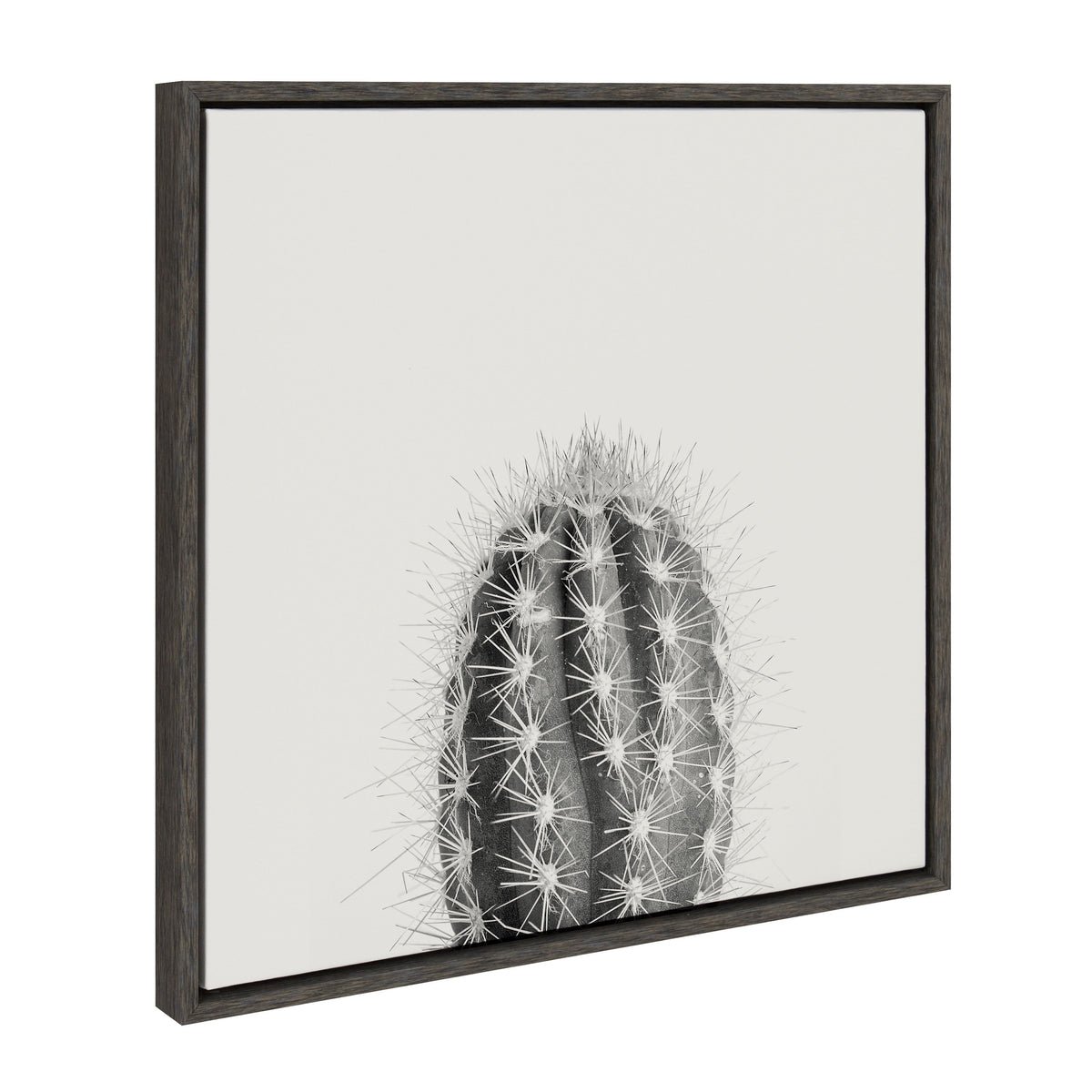 Sylvie Haze Cactus Succulent Tall Framed Canvas by The Creative Bunch Studio