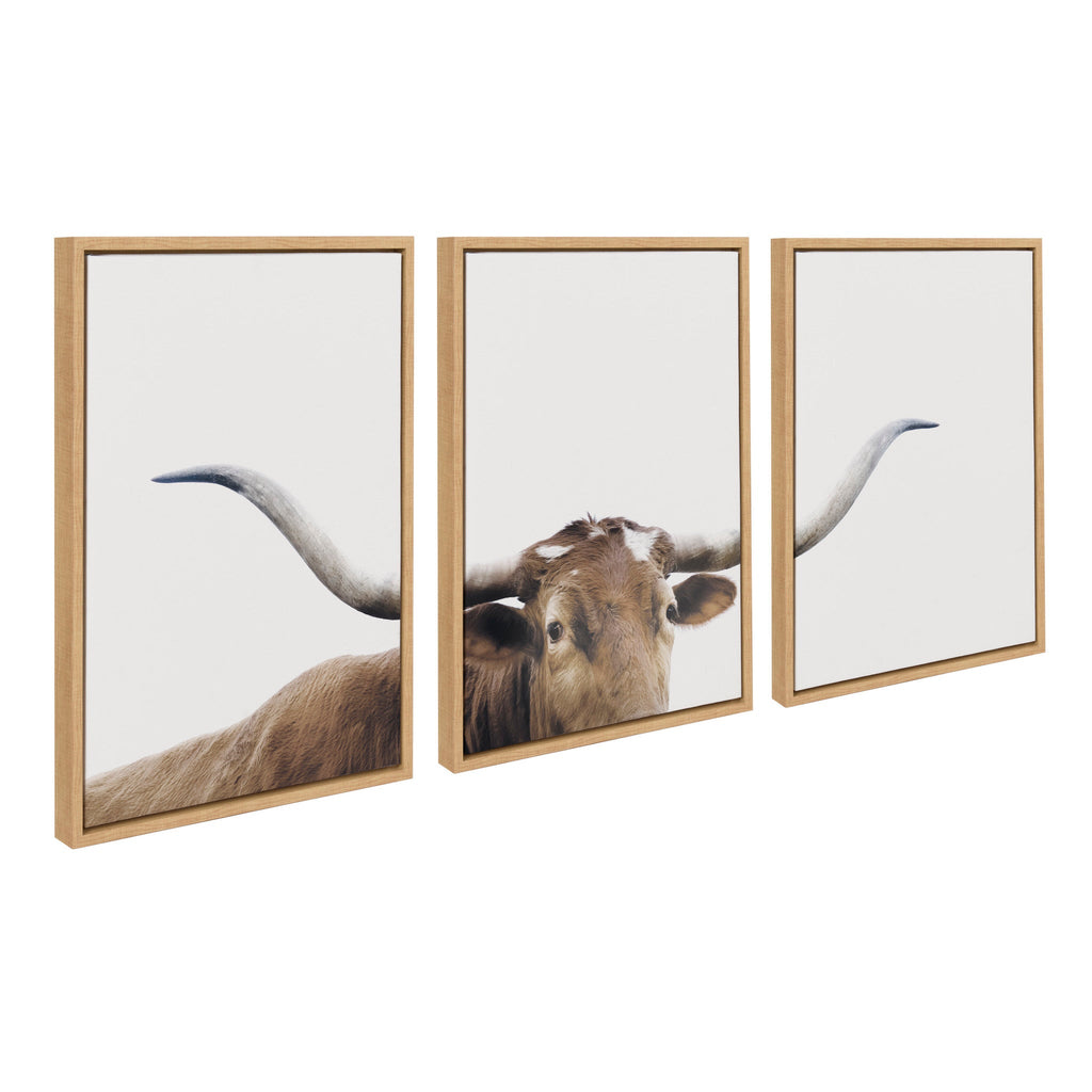 Sylvie Texas Longhorn 1 2 3 Framed Canvas Set of 3 by The Creative Bunch Studio