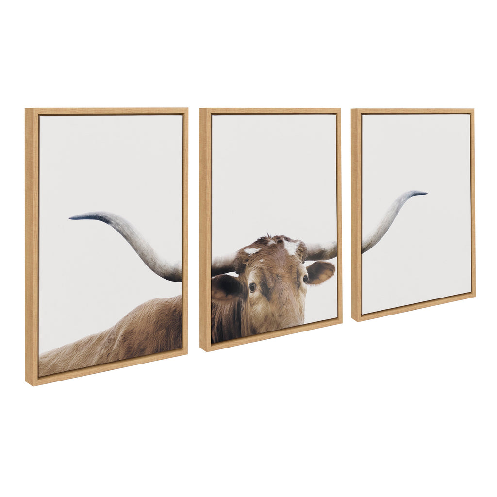 Sylvie Texas Longhorn 1 2 3 Framed Canvas Set of 3 by The Creative Bunch Studio