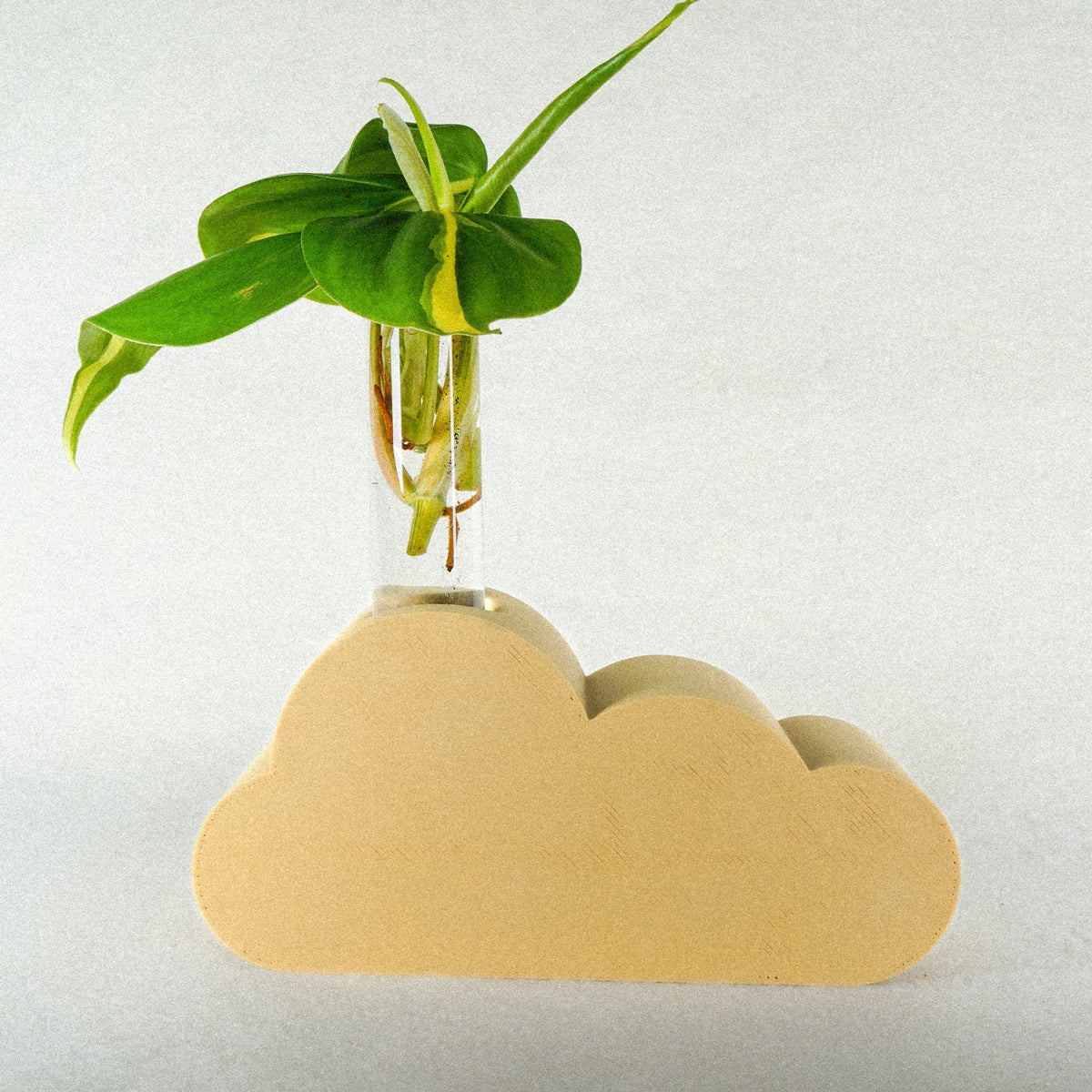 Cloud Propagation