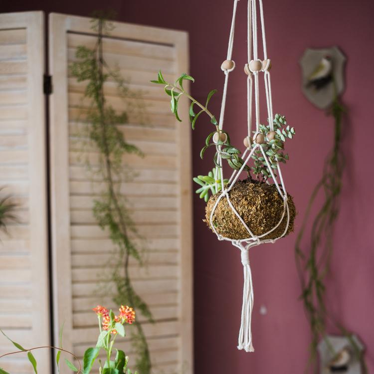 Cotton and Hemp Rope Planter Hanger