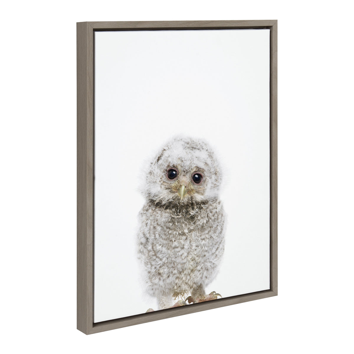 Sylvie Animal Studio Owl Framed Canvas by Amy Peterson Art Studio