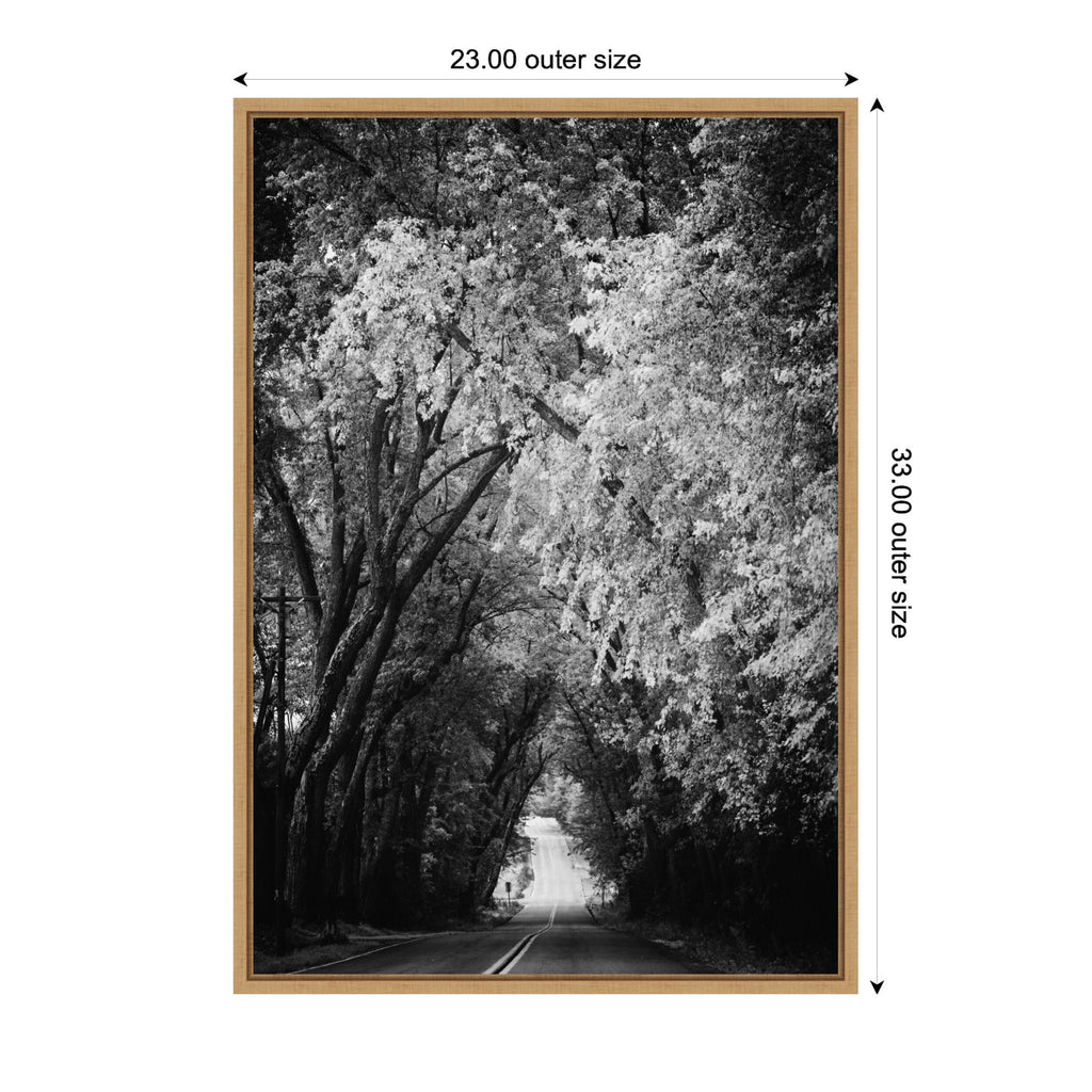 Sylvie Pleasant Valley Road Serene Path Framed Canvas by Emiko and Mark Franzen of F2Images