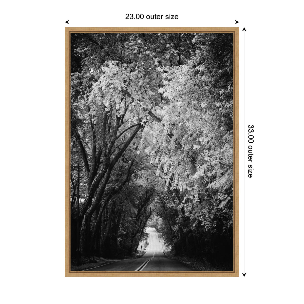 Sylvie Pleasant Valley Road Serene Path Framed Canvas by Emiko and Mark Franzen of F2Images