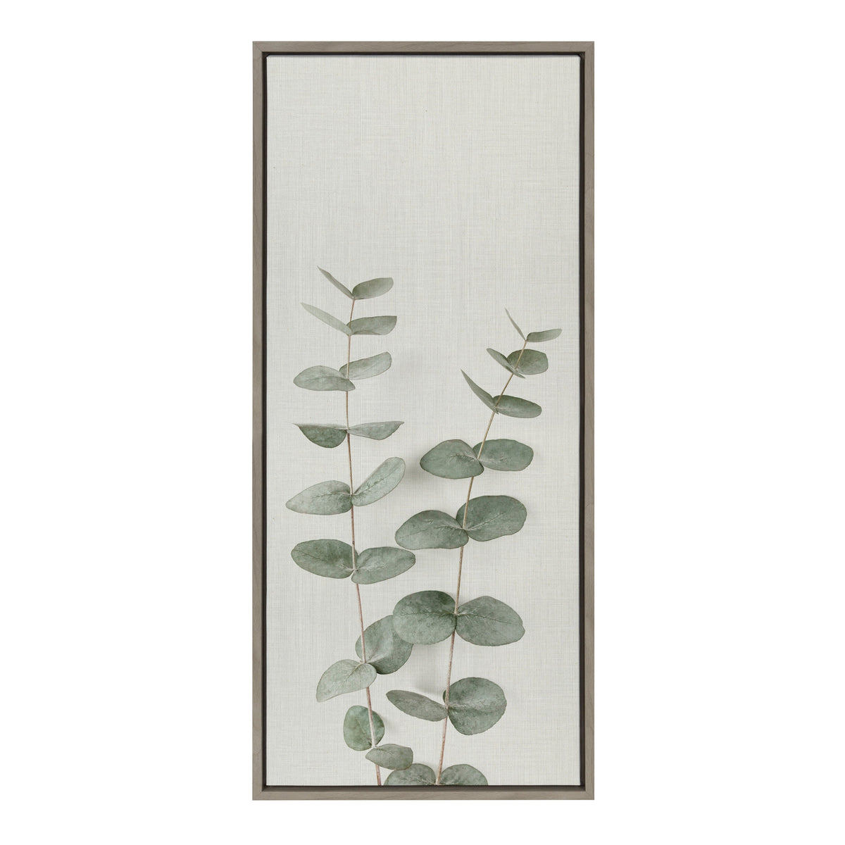 Sylvie Eucalyptus Botanical II Framed Canvas by The Creative Bunch Studio