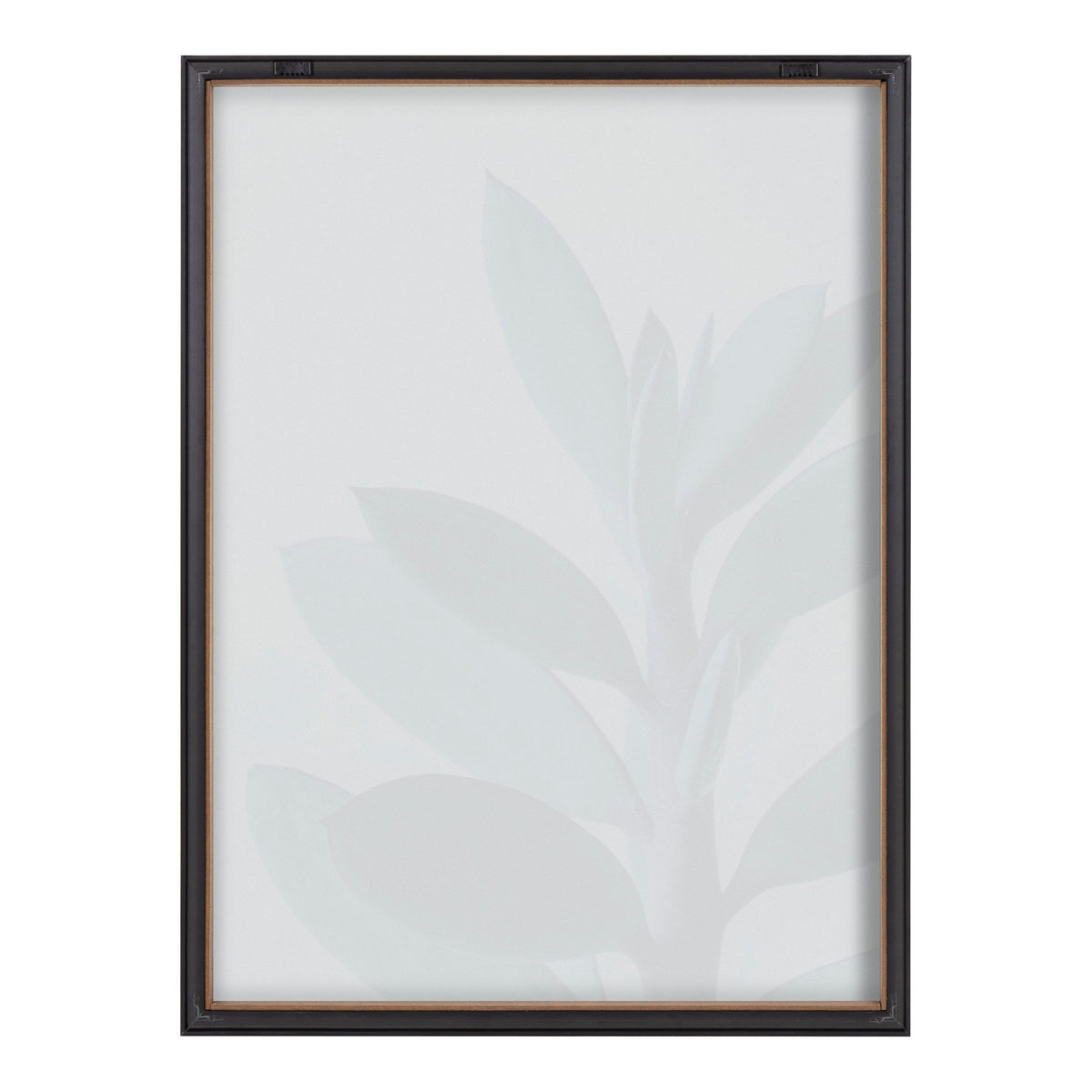 Blake Senecio 1 Framed Printed Glass by Emiko and Mark Franzen of F2Images
