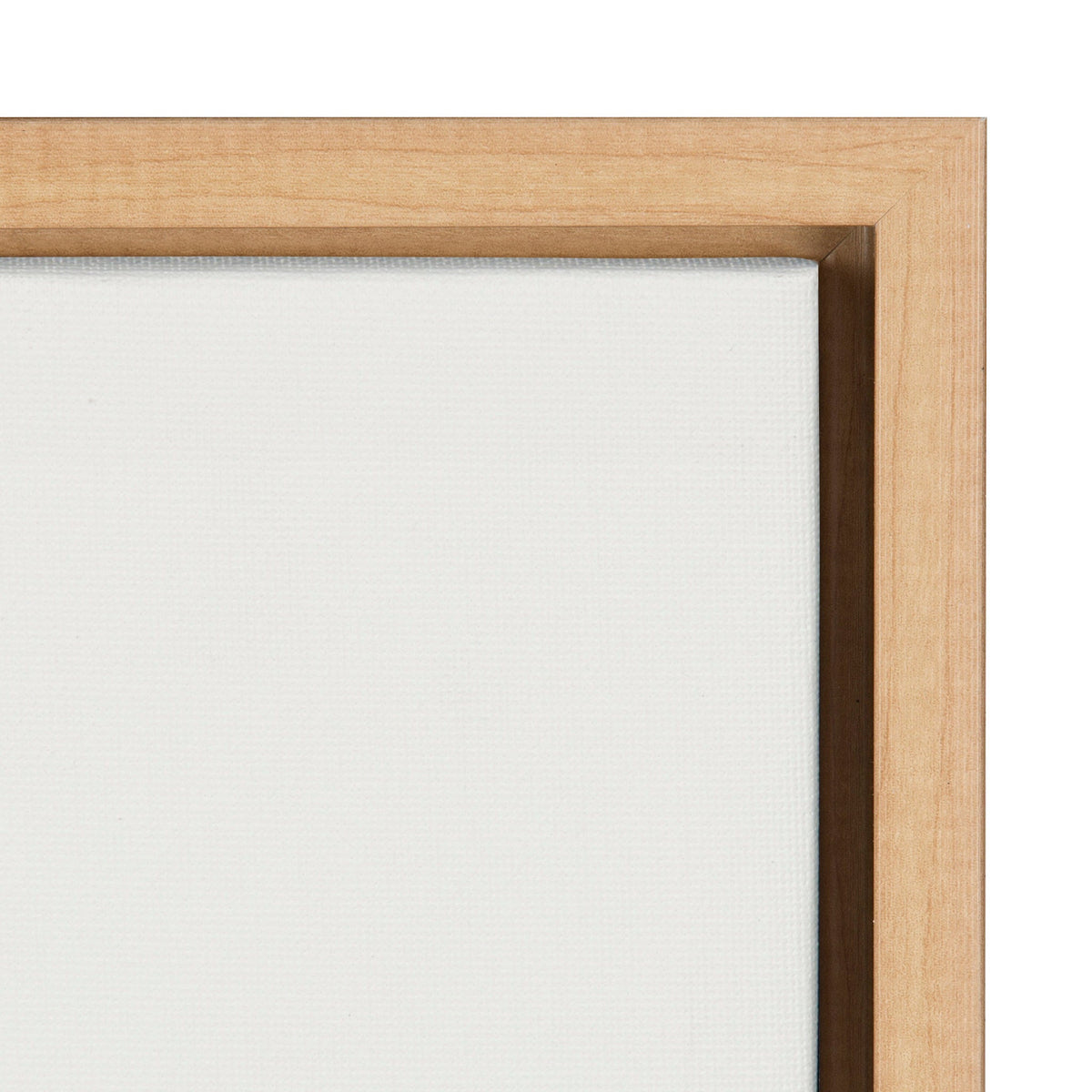 Sylvie No Evil Allowed Framed Canvas by Shatha Al Dafai