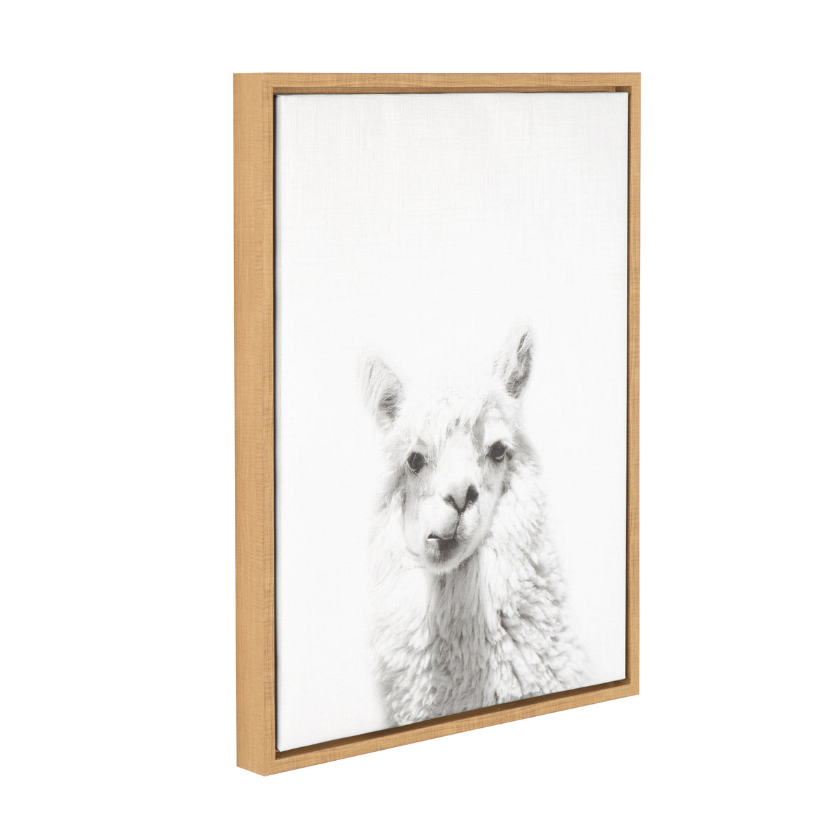 Sylvie Alpaca Framed Canvas by Simon Te of Tai Prints