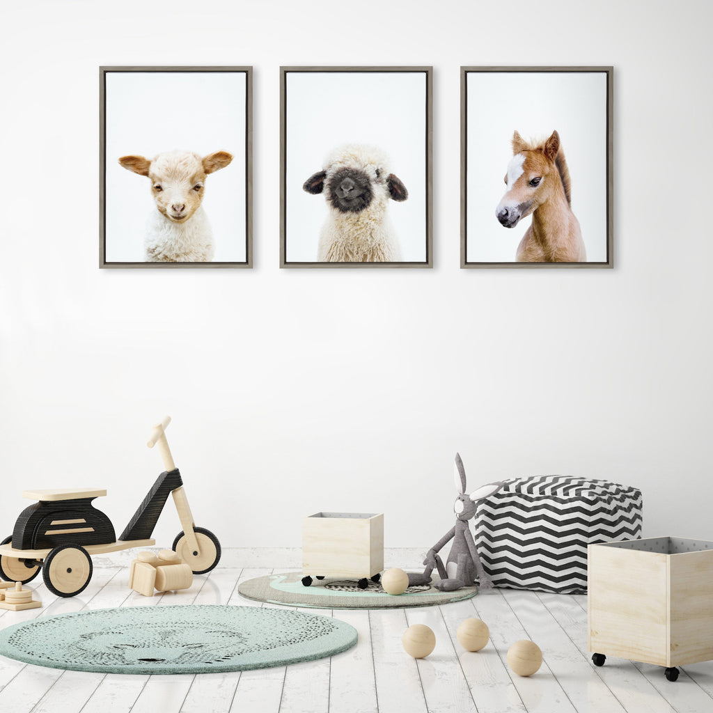 Sylvie Animal Studio Black Nosed Sheep Framed Canvas by Amy Peterson Art Studio