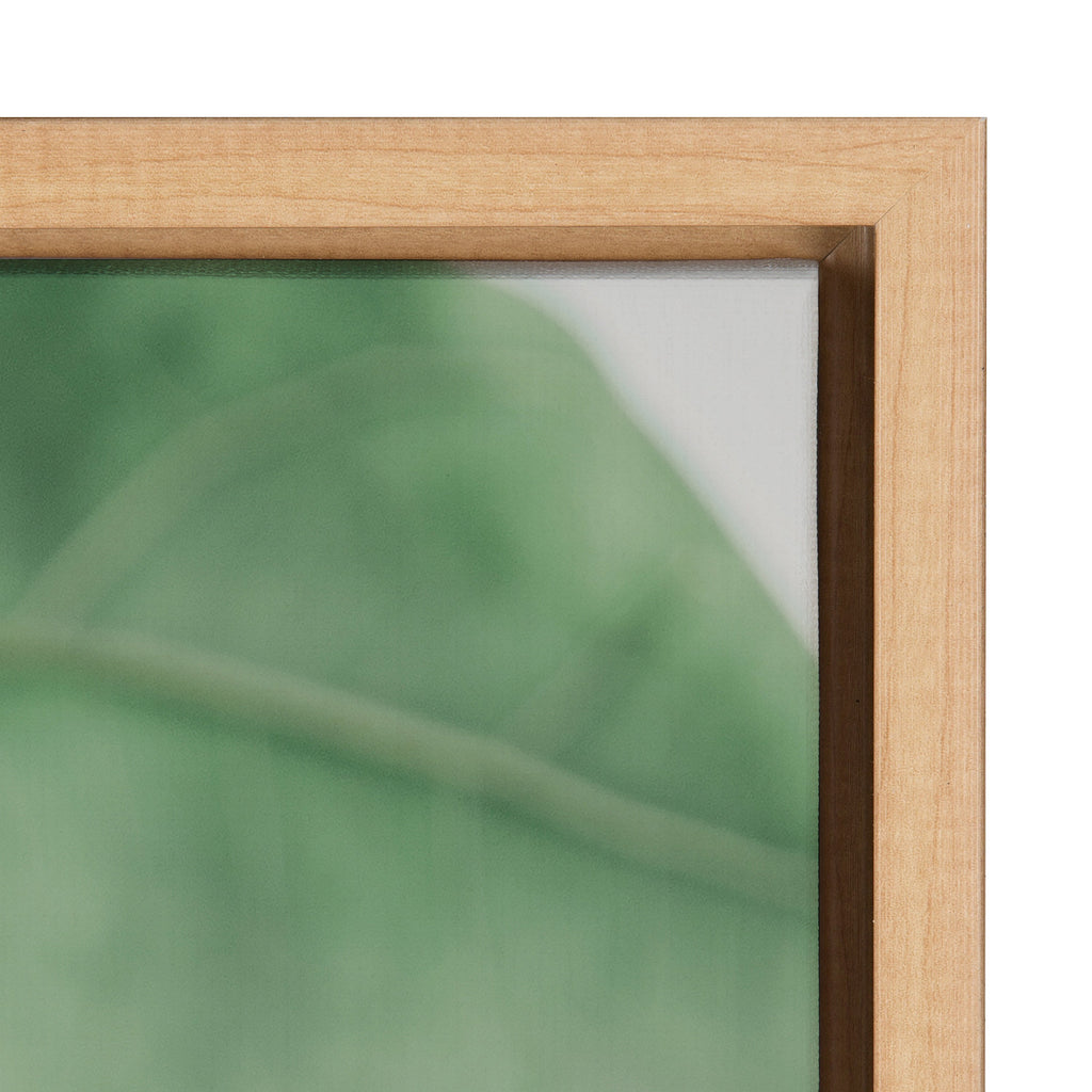 Sylvie Plant Study 6 Framed Canvas by Alicia Abla