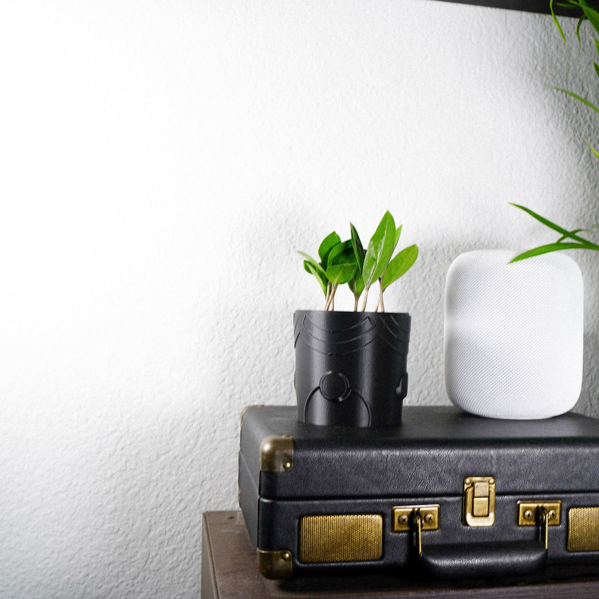 Deep Space Planter