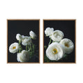 Sylvie White Ranunculus Framed Canvas Set of 2 by Emiko and Mark Franzen of F2Images